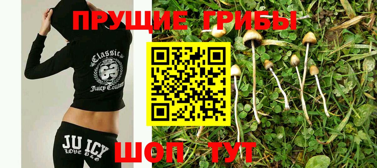 Новоалтайск  Псилоцибиновые грибы Magic Shrooms  Галлюциногенные грибы мицелий  Вход с VPN 